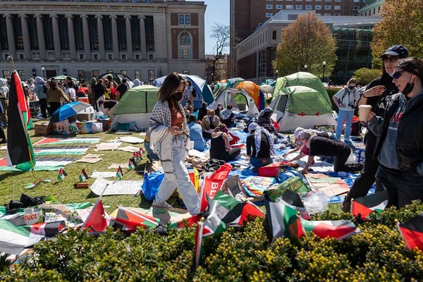 A bunch of tents on a lawn, Palestinian flags, and college kids